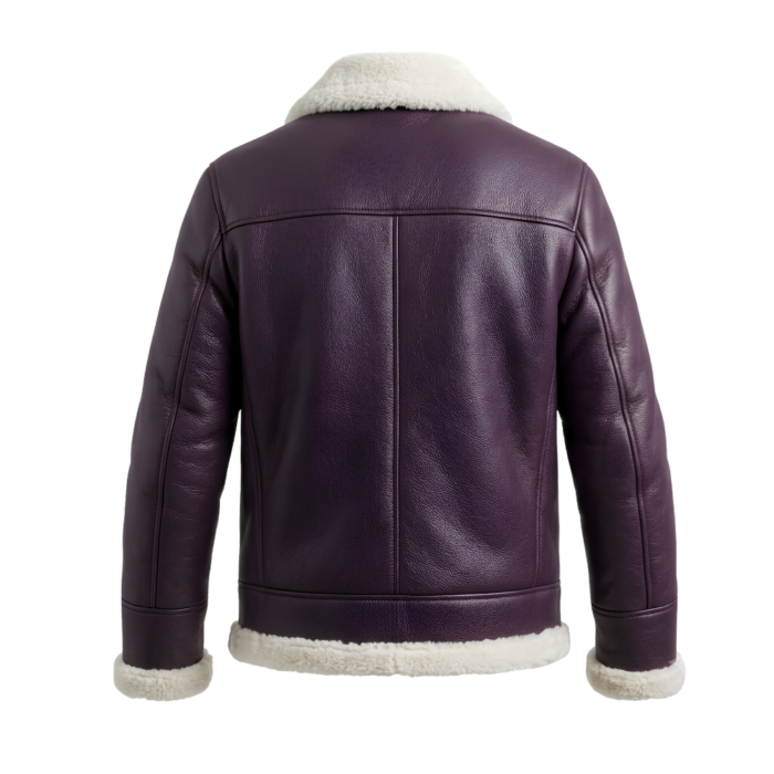 Eclipse Men's Plum Shearling Leather Jacket